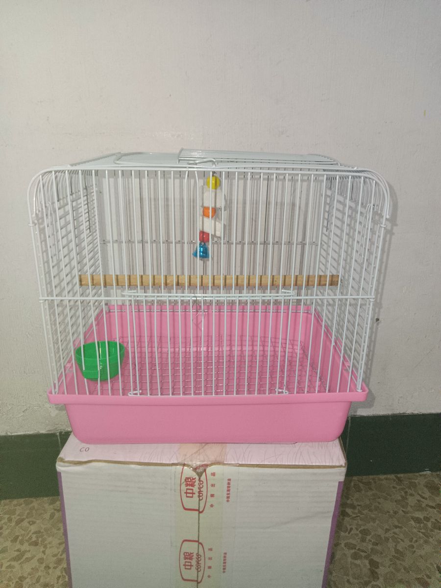 IMG20240426194140.jpg
