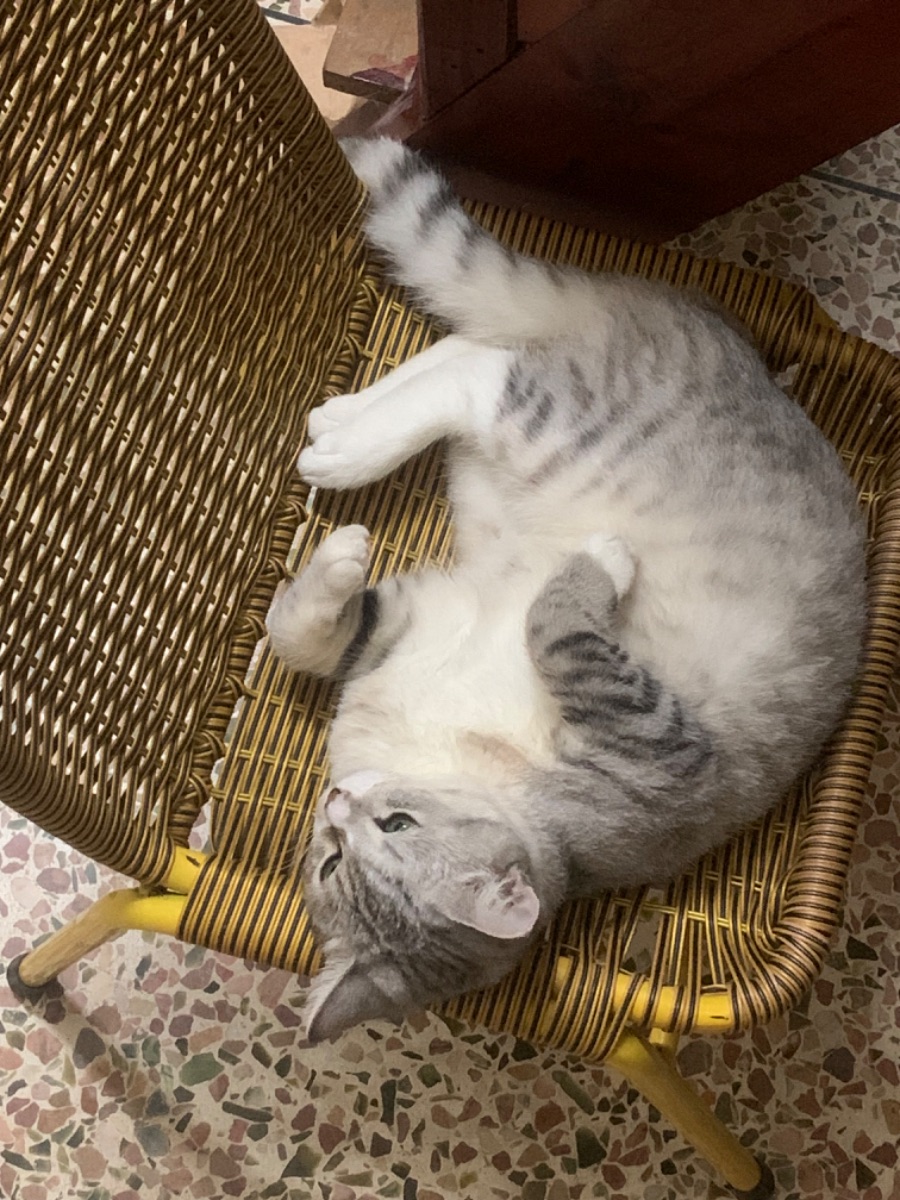 IMG_0106.jpeg