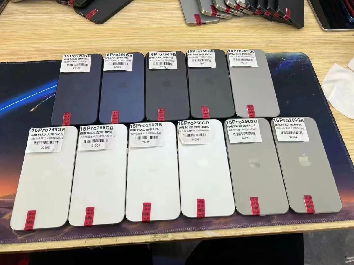 mmexport1724735665466.jpg