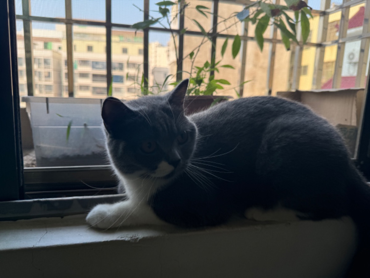 IMG_2720.jpeg