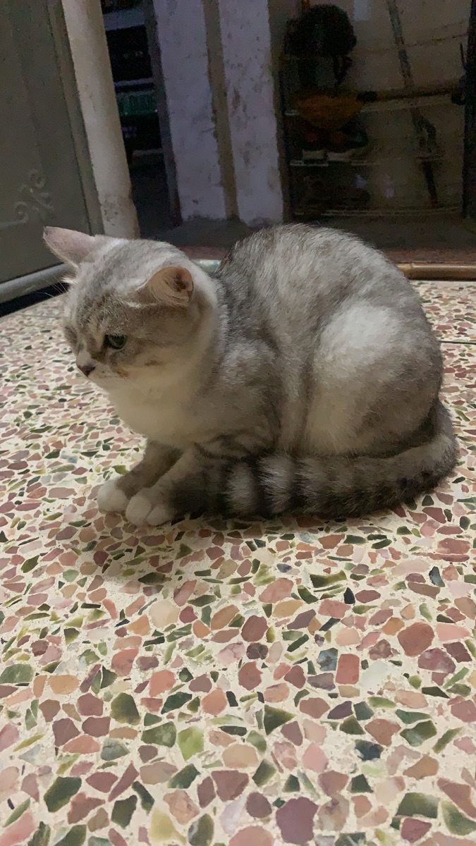 IMG_0261.jpeg