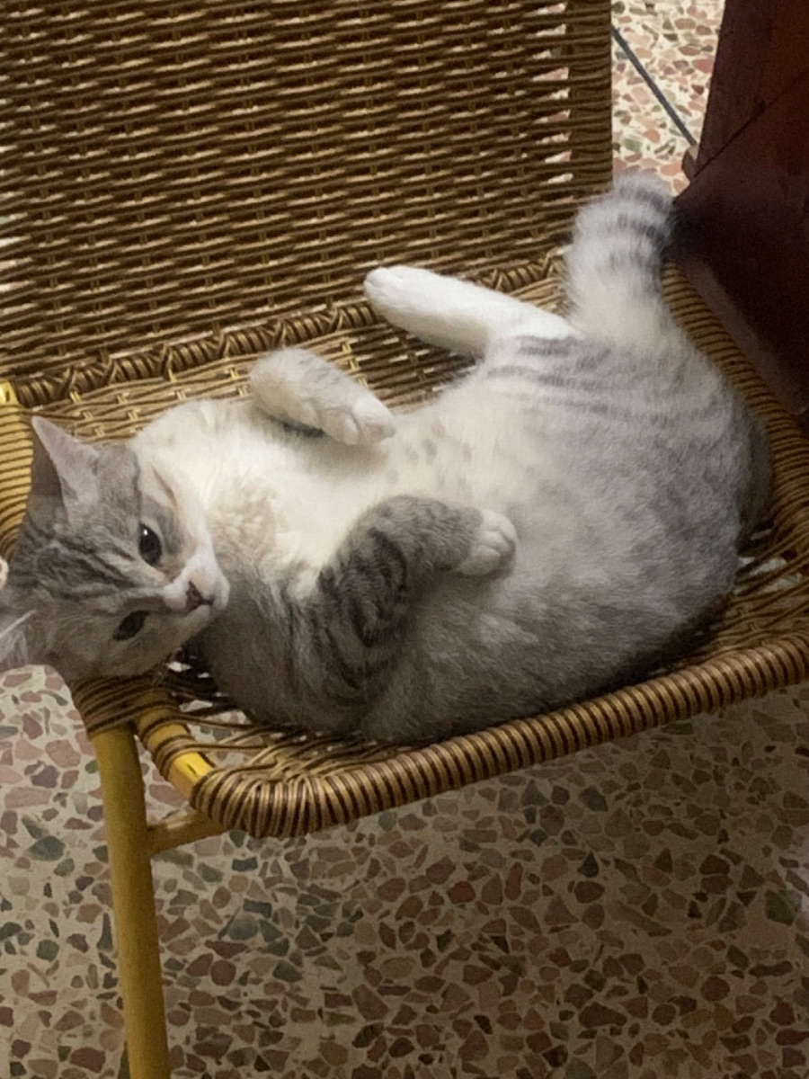 IMG_0105.jpeg