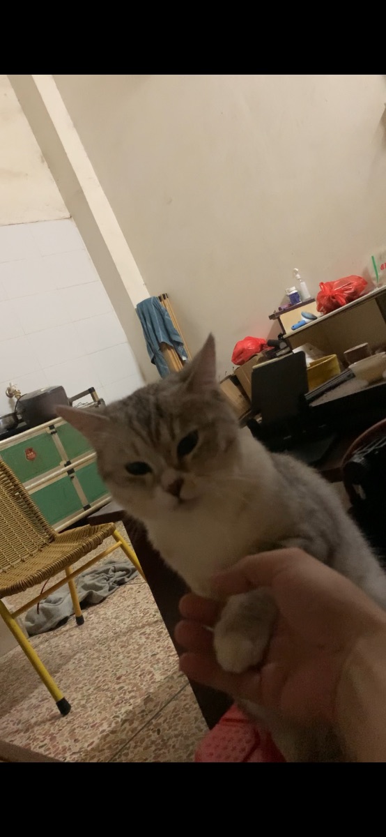 IMG_0148.png