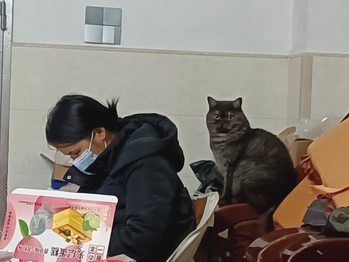 5b60a610908ec11d3db65f40209443f0.jpeg