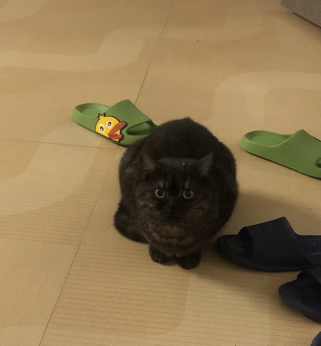 IMG_6435.jpeg