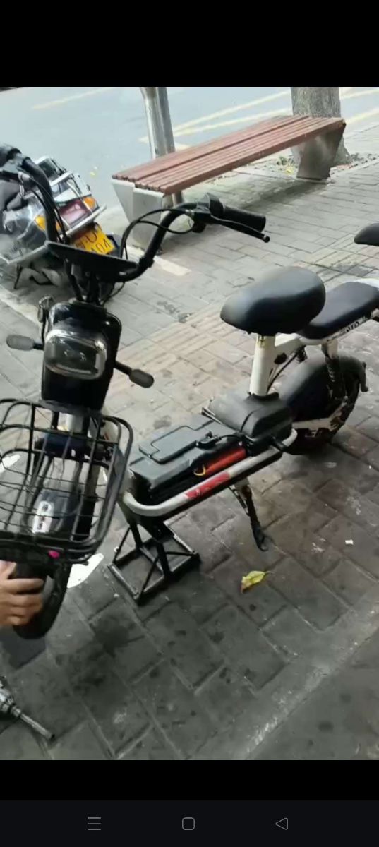 1000064689.jpg