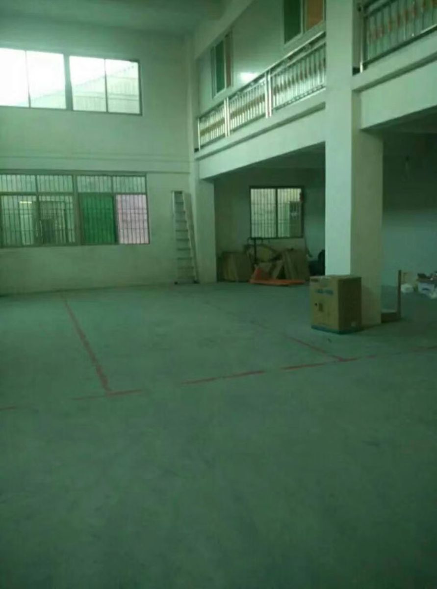 G_20241105212255.jpg