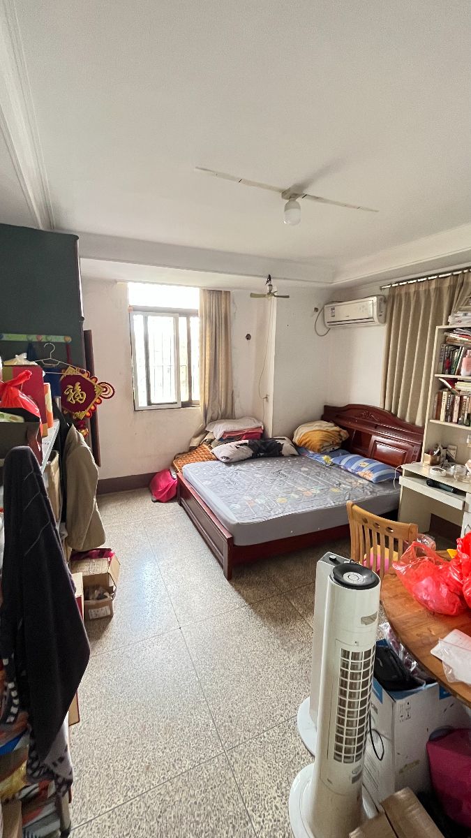 G_20241118143646 - o,.jpg