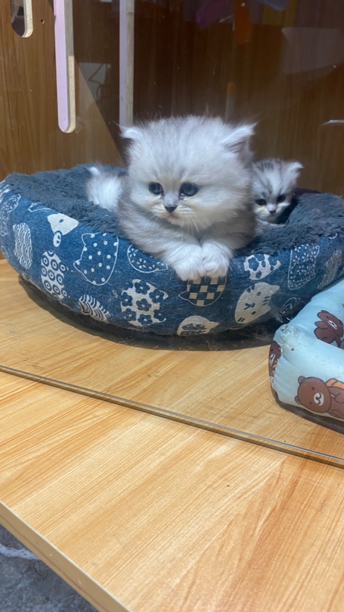 IMG_3904.jpeg