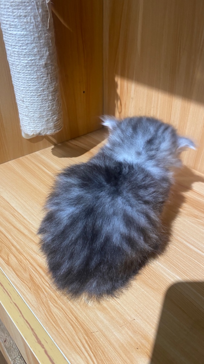 IMG_3899.jpeg