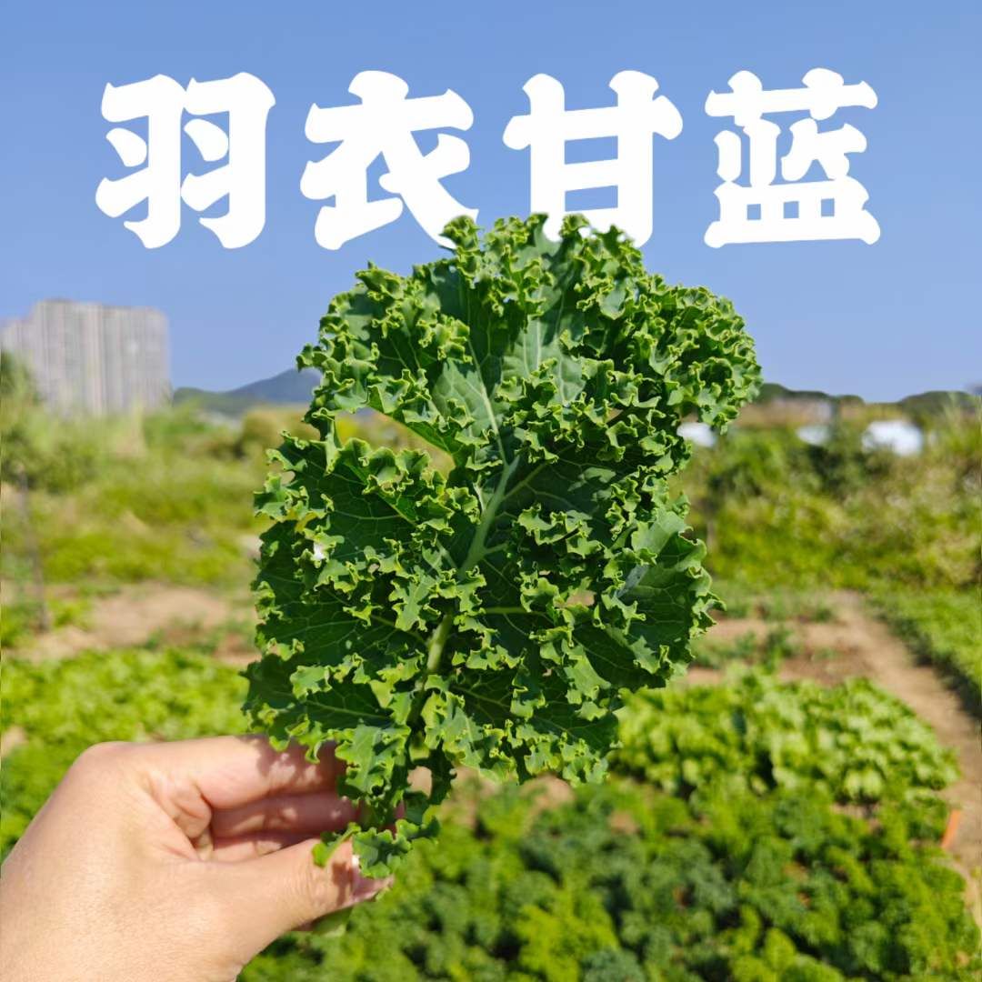 G_20241219144042.jpg