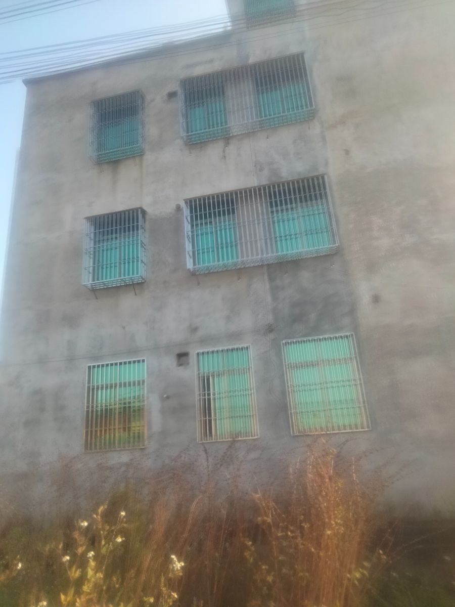 IMG20250110090851.jpg