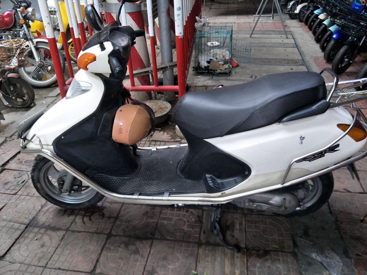 IMG20250124152127.jpg