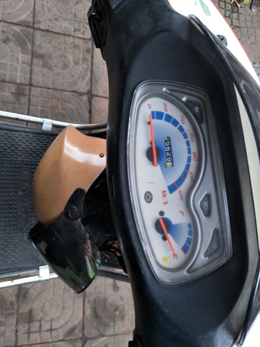 IMG20250124152231.jpg
