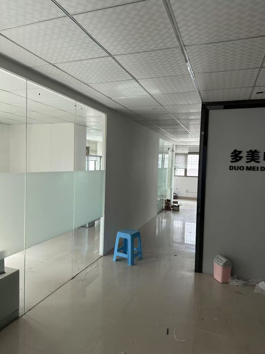 G_20250213171520.jpg