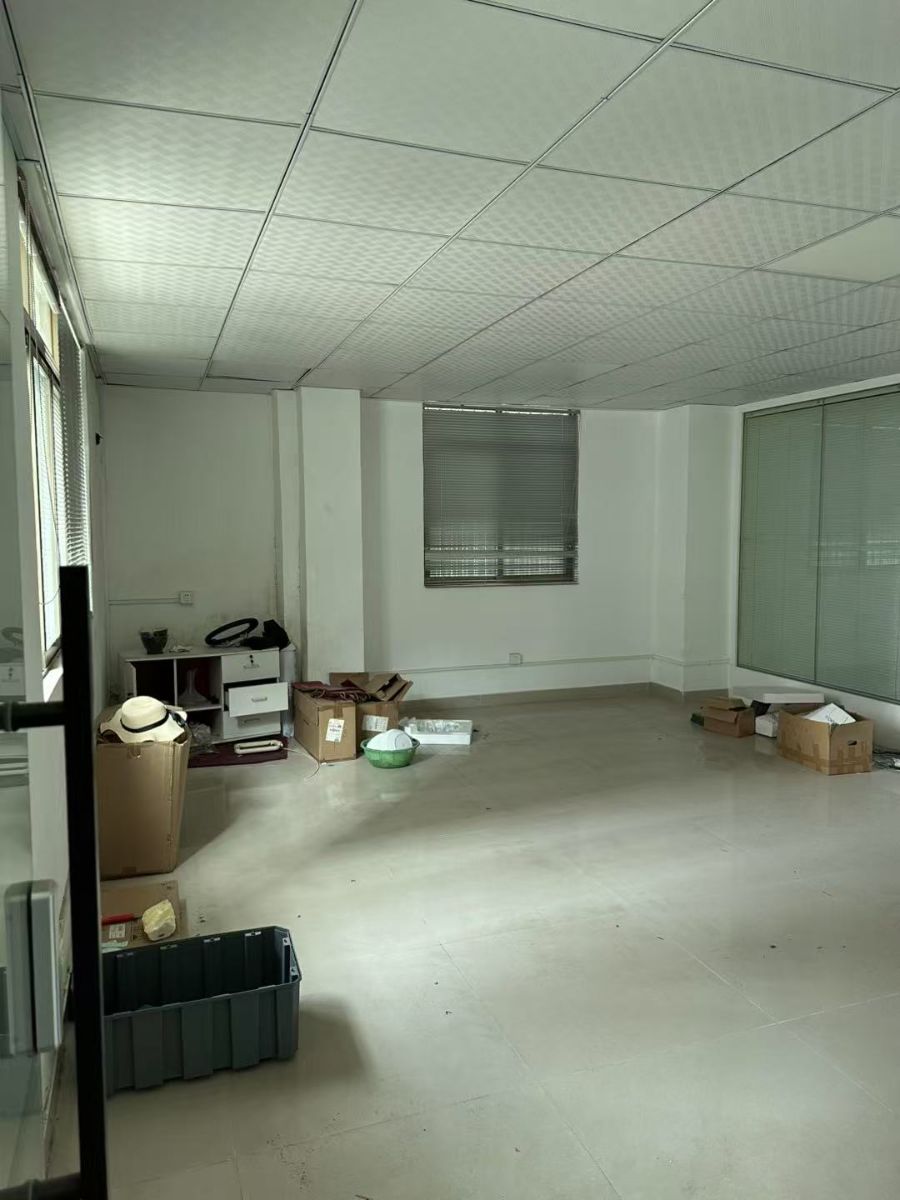 G_20250213171522.jpg