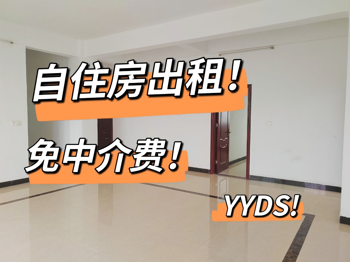 G_20250305120659.jpg