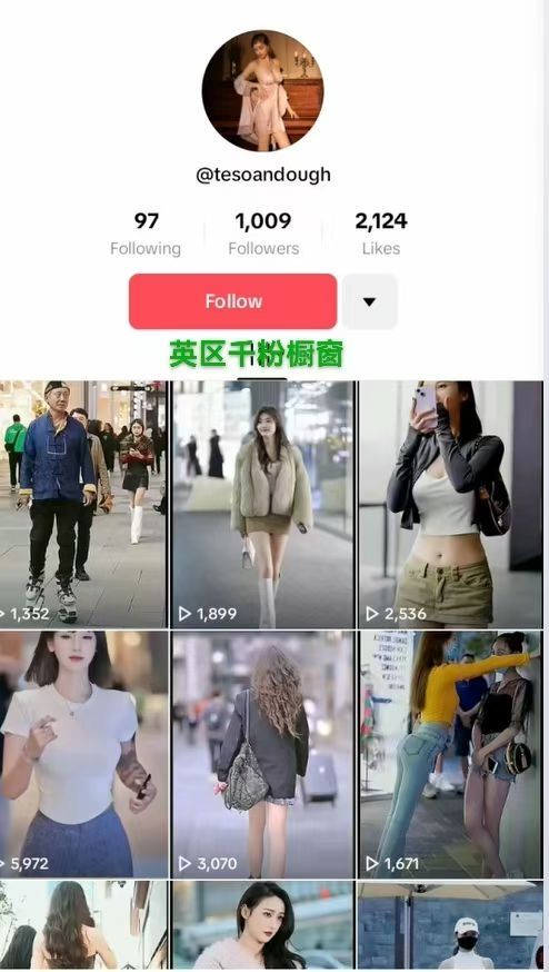 12782631962666059605.JPG