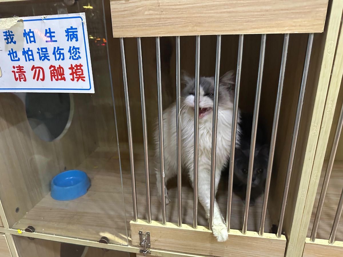 IMG_1913.jpeg