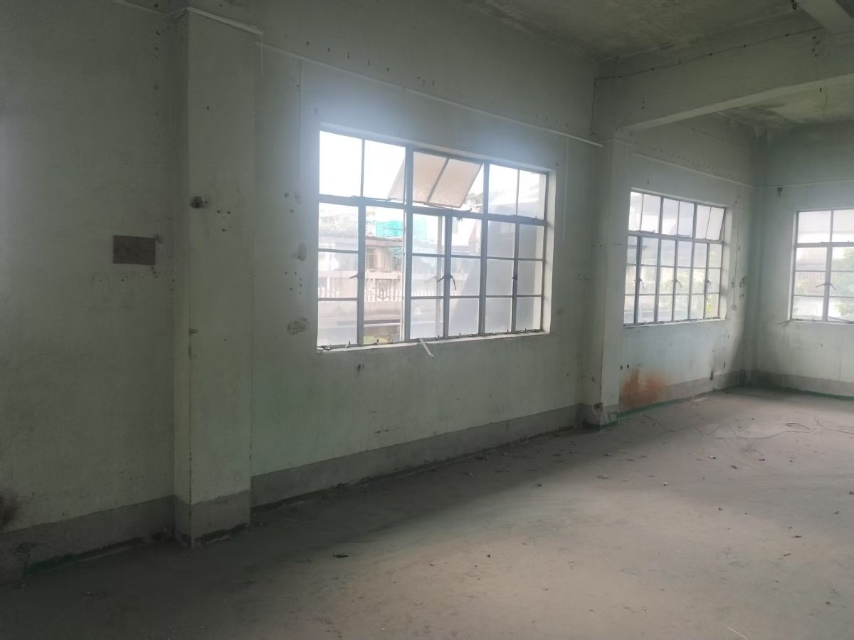 mmexport1747817107809.jpg
