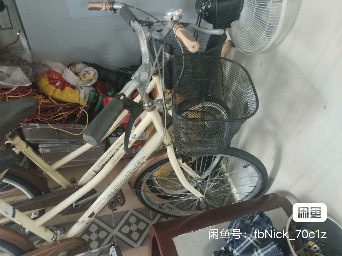 image_editor_1748245669697.jpg