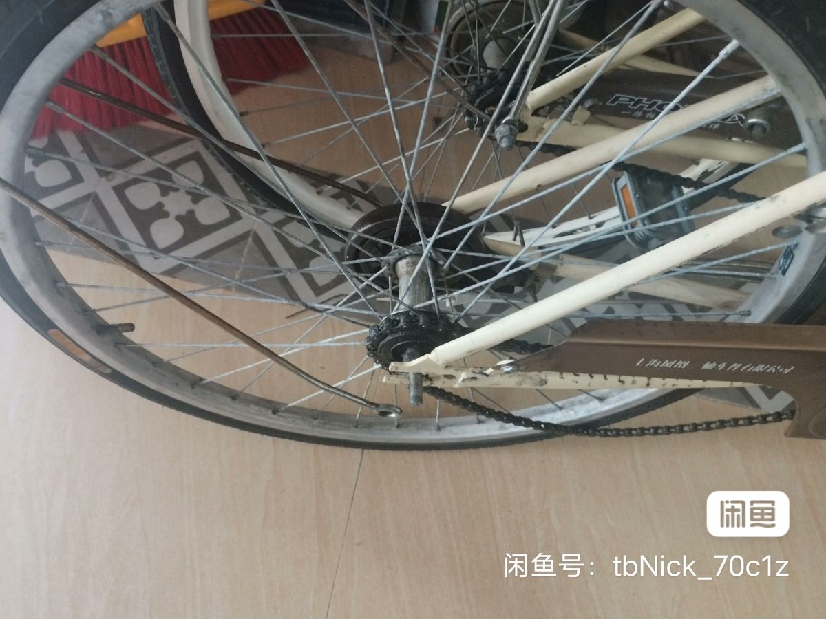 image_editor_1748245678015.jpg