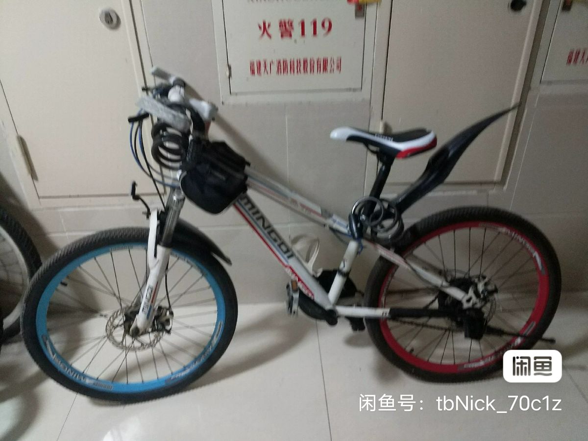 image_editor_1748271198253.jpg