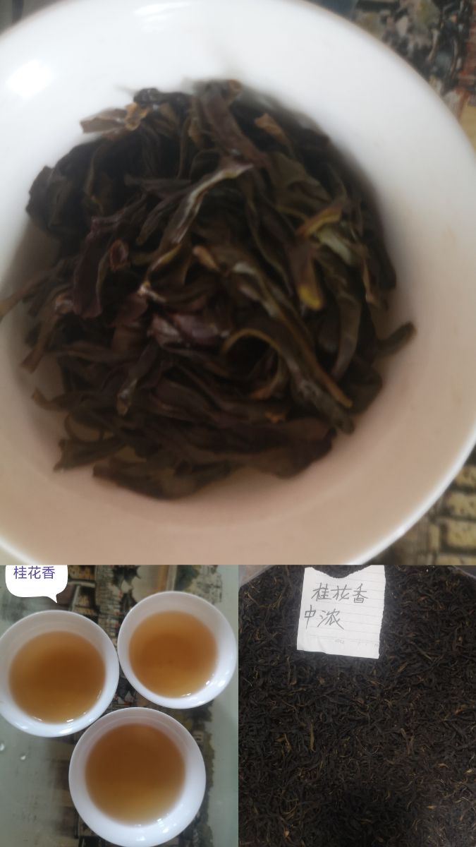 MEITU_20250613_160028335.jpg