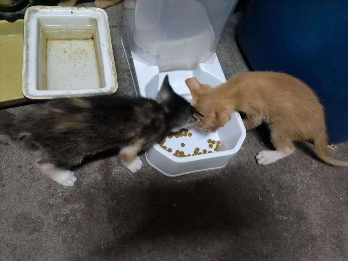 G_20250702224627_2.jpg