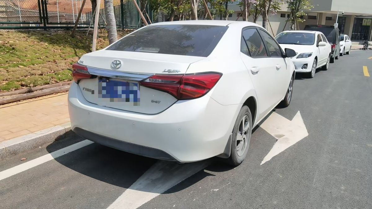 mmexport1751609699366.jpg