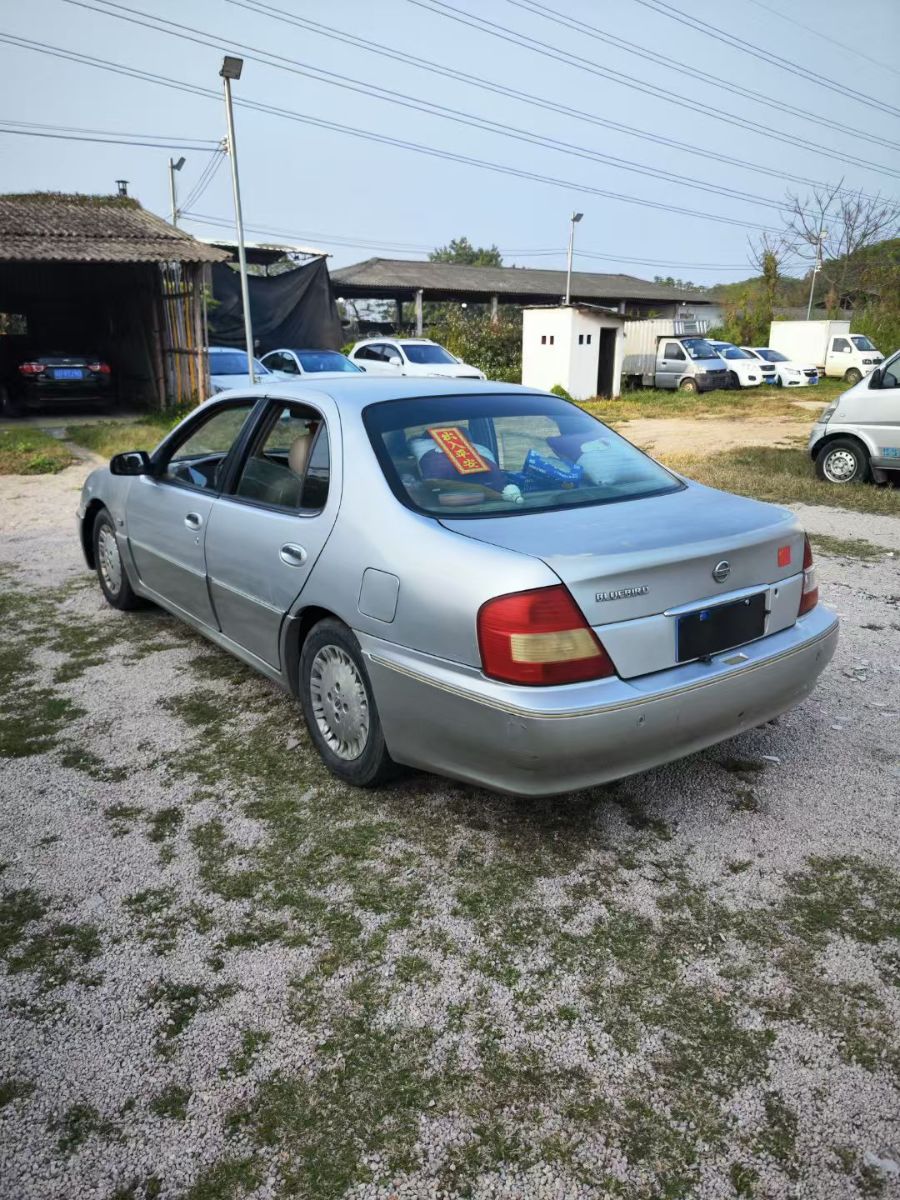 mmexport1747122385272.jpg