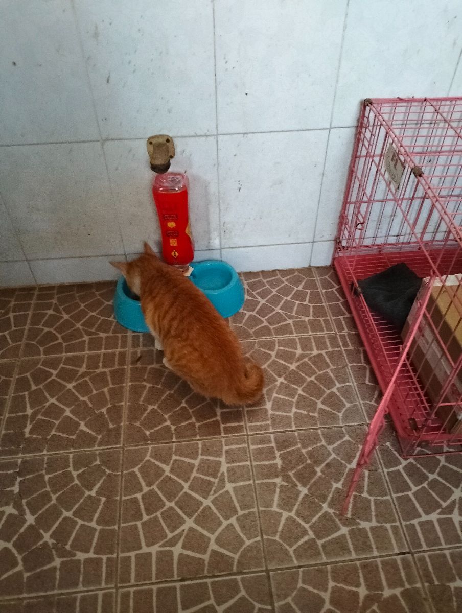 IMG20260113104818.jpg