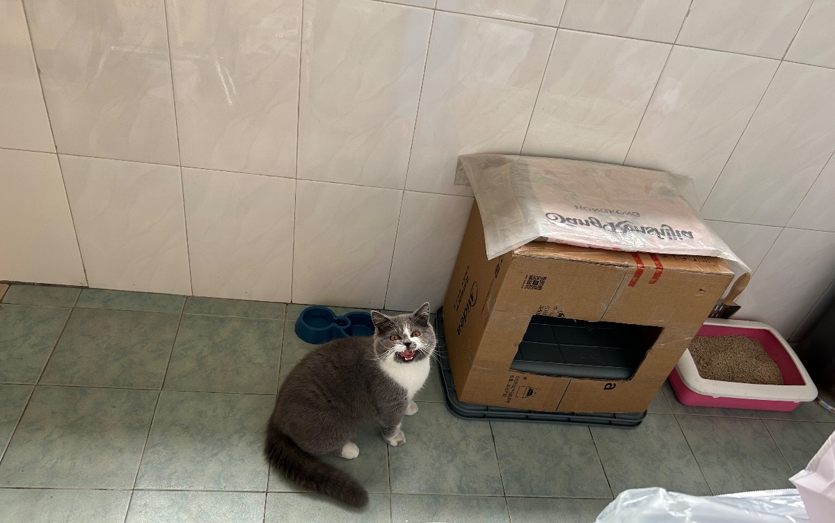 IMG_3304.jpeg