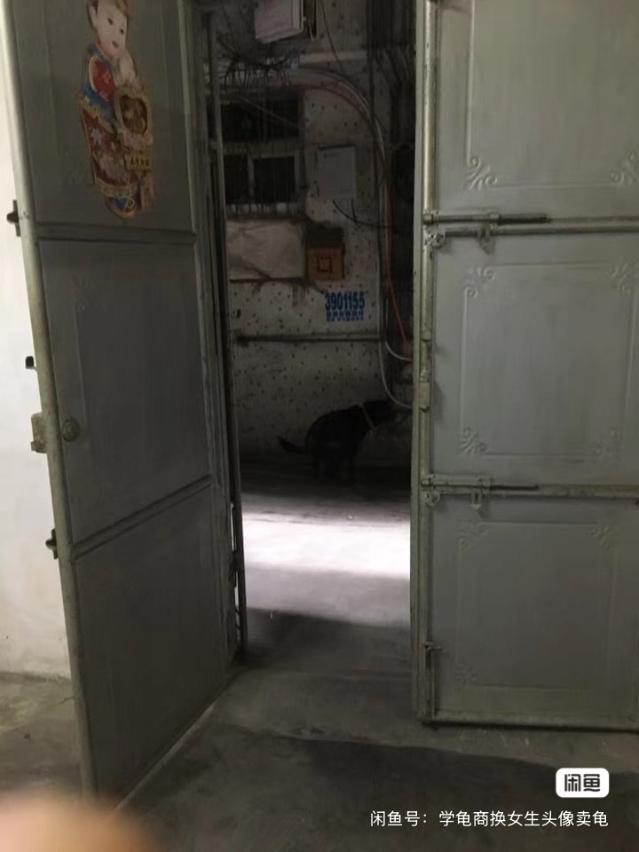 IMG_7370.jpeg