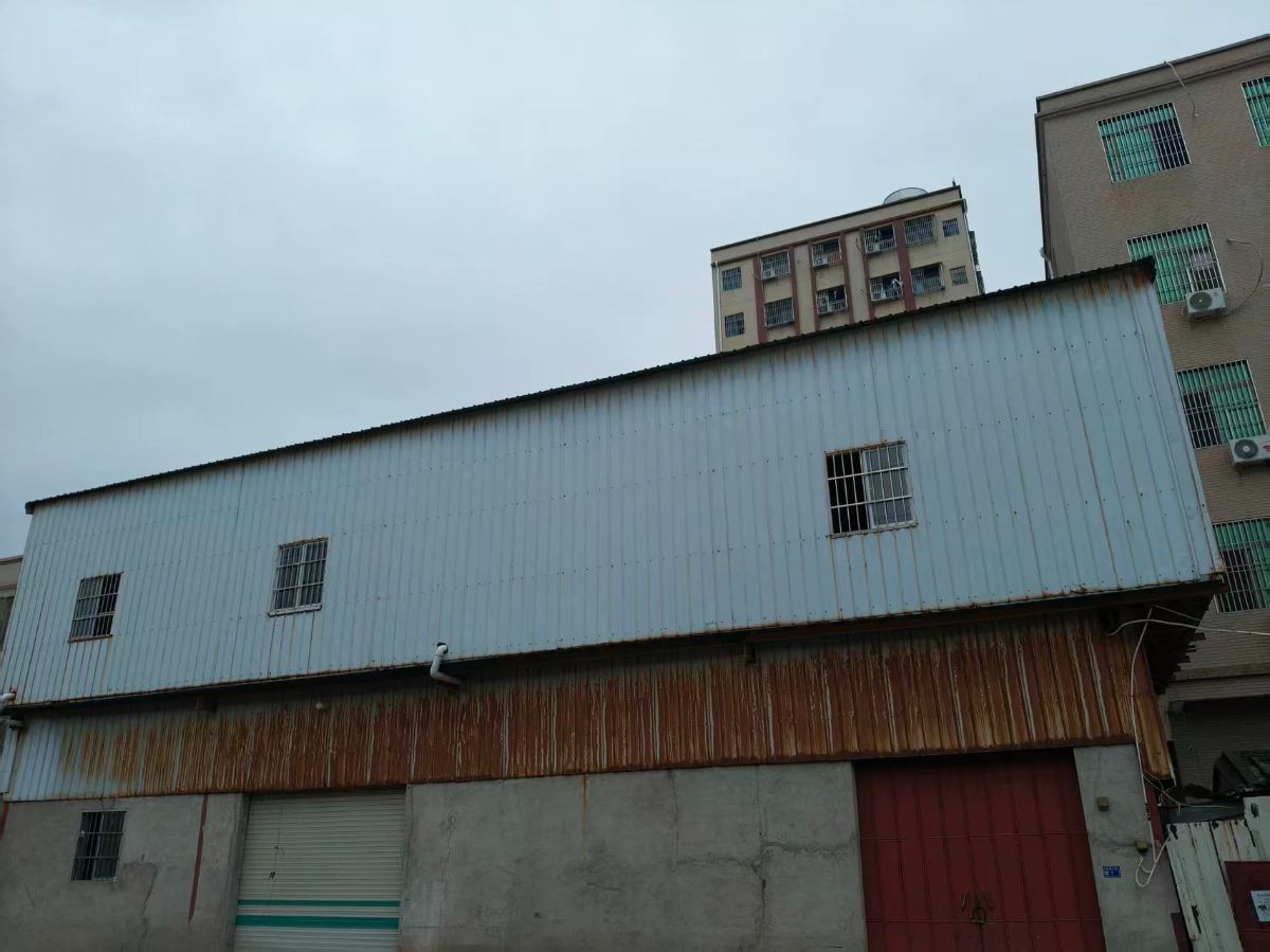idlefish-msg-1779351850795.png.jpg