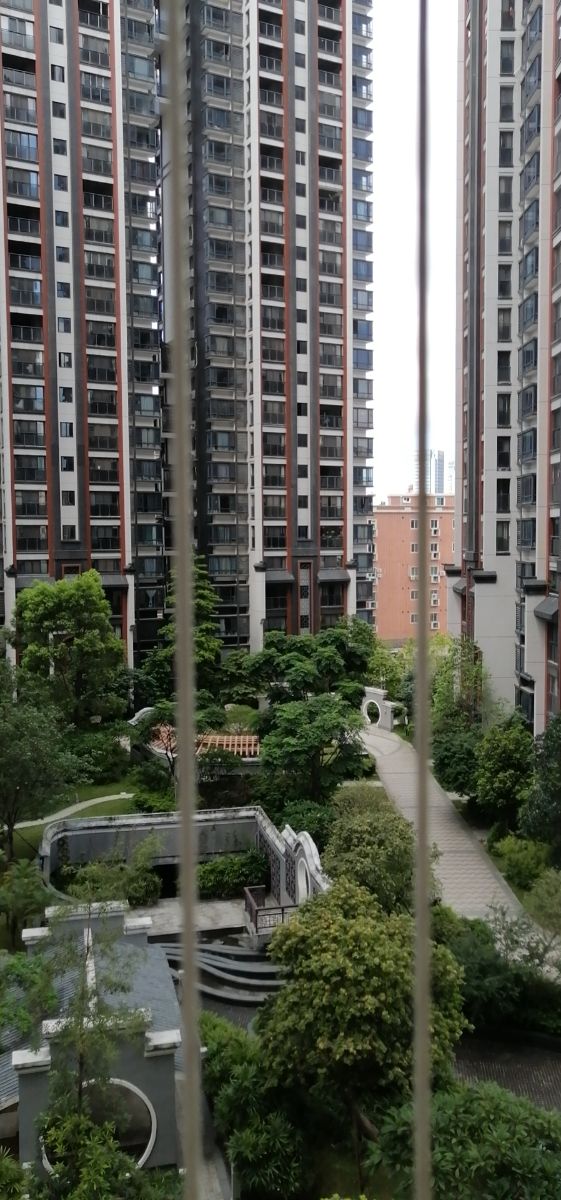 wx_camera_1657412606128.jpg