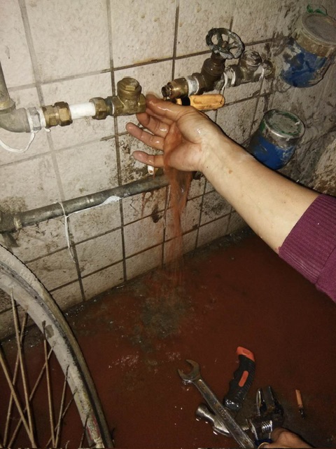 IMG_0054.jpeg