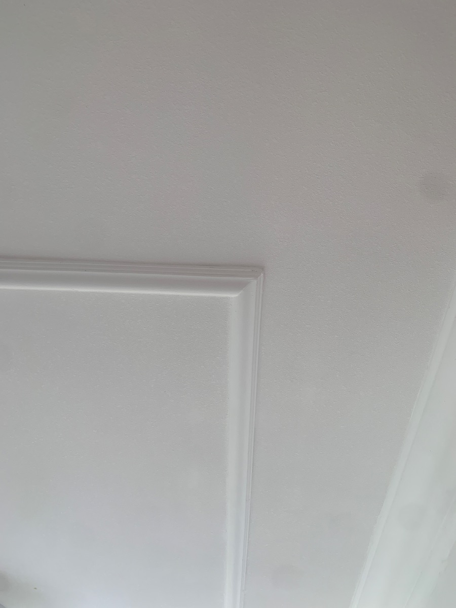 IMG_0488.jpeg